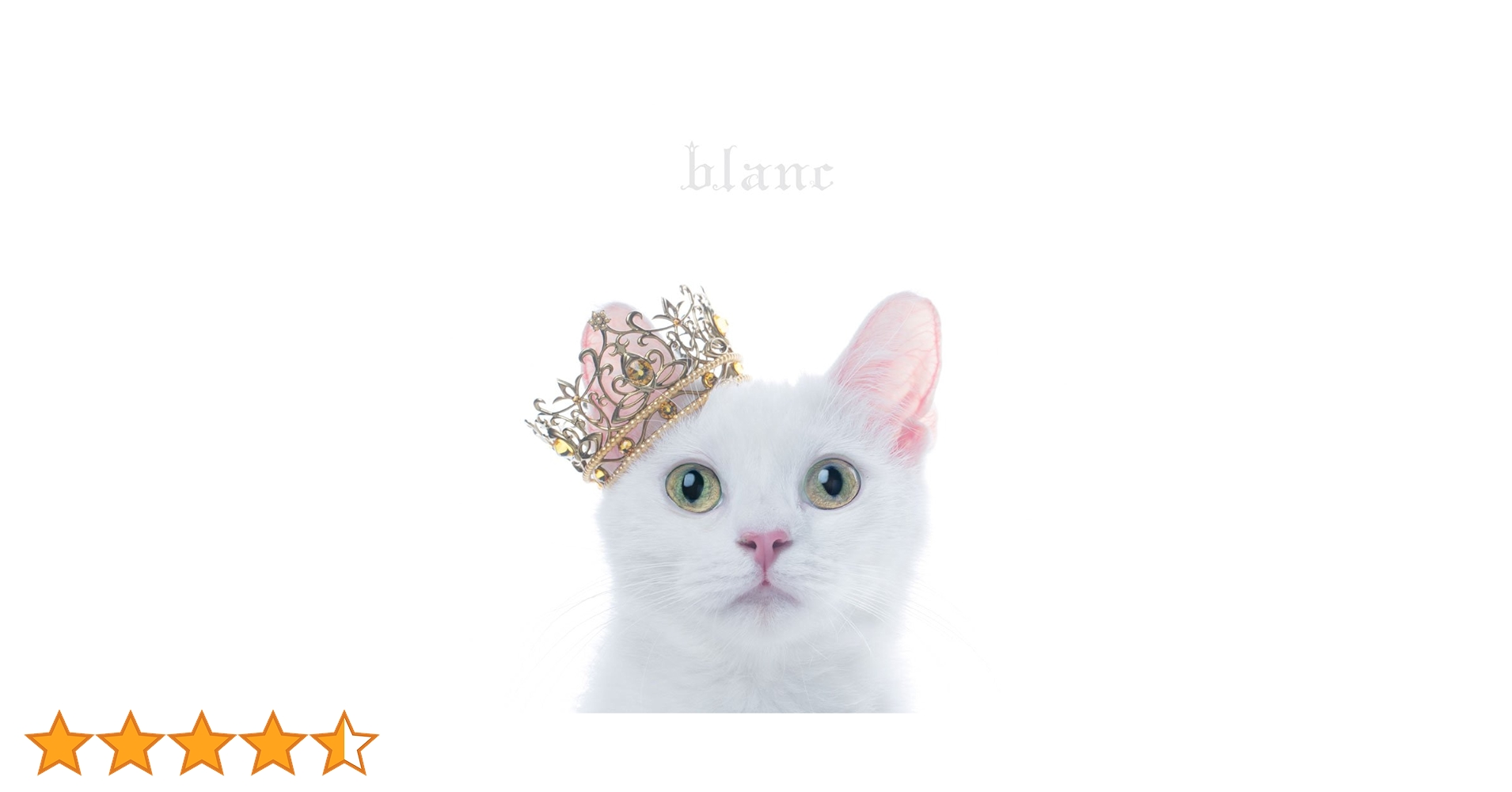 Amazon.co.jp: BEST SELECTION “blanc